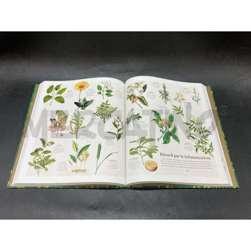 OL LIBRO DELLE ERBE BRIBAUDO  | Mercatino dell'Usato Roma eur 3
