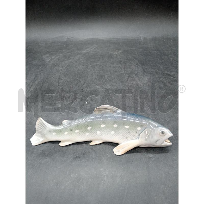 PESCE ROYAL COPENAGHEN DA RIV | Mercatino dell'Usato Roma eur 1