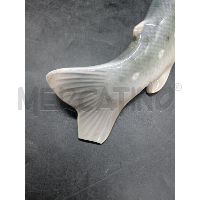 PESCE ROYAL COPENAGHEN DA RIV | Mercatino dell'Usato Roma eur 2