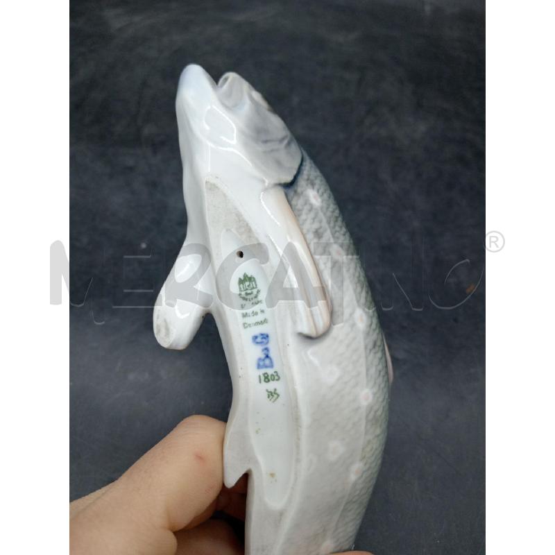PESCE ROYAL COPENAGHEN DA RIV | Mercatino dell'Usato Roma eur 4