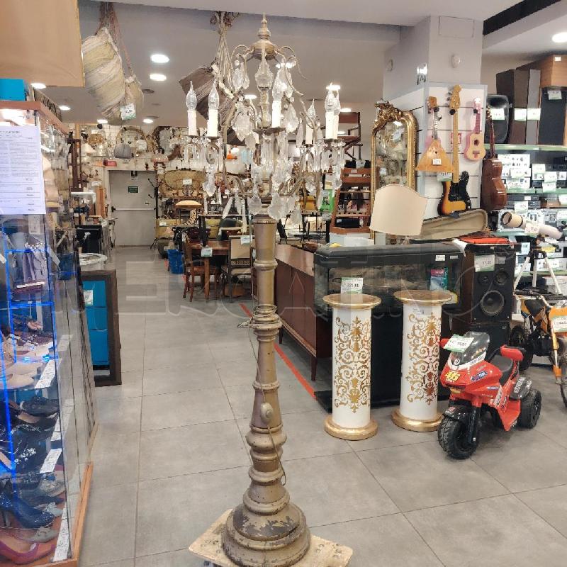 PIANTANA DOR GOCE | Mercatino dell'Usato Roma eur 1