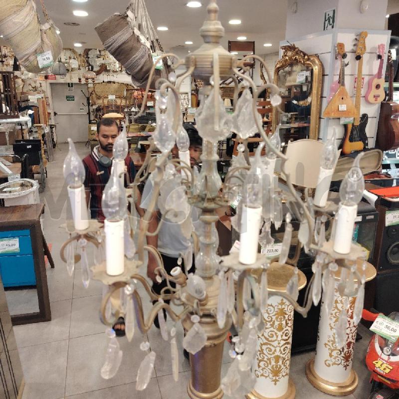 PIANTANA DOR GOCE | Mercatino dell'Usato Roma eur 2
