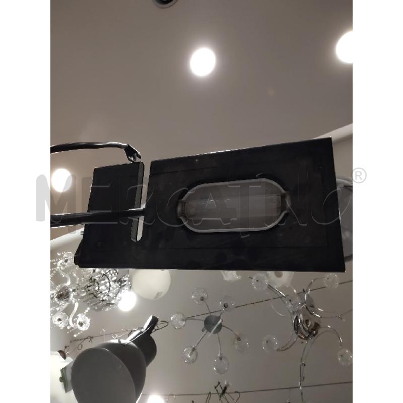 PIANTANA DUNA PAF | Mercatino dell'Usato Roma eur 3