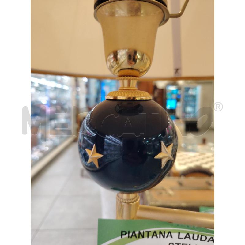 PIANTANA LAUDARTE DOR STELLE | Mercatino dell'Usato Roma eur 2