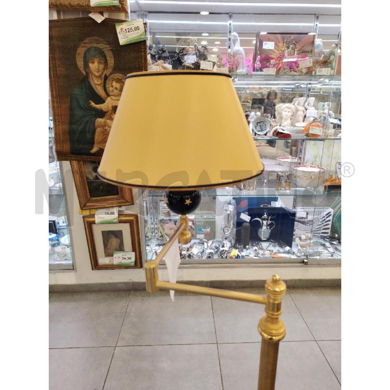 PIANTANA LAUDARTE DOR STELLE | Mercatino dell'Usato Roma eur 3