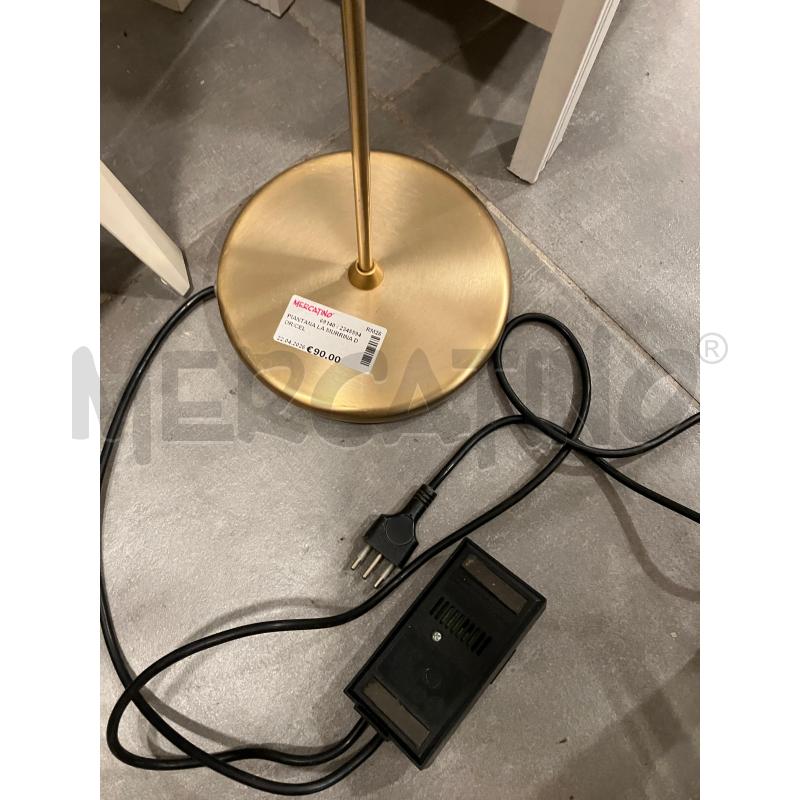 PIANTANA LA MURRINA DOR/CEL | Mercatino dell'Usato Roma eur 4