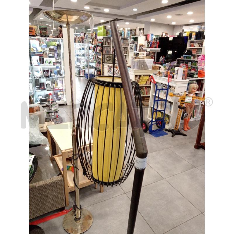 PIANTANA MANGO  | Mercatino dell'Usato Roma eur 4