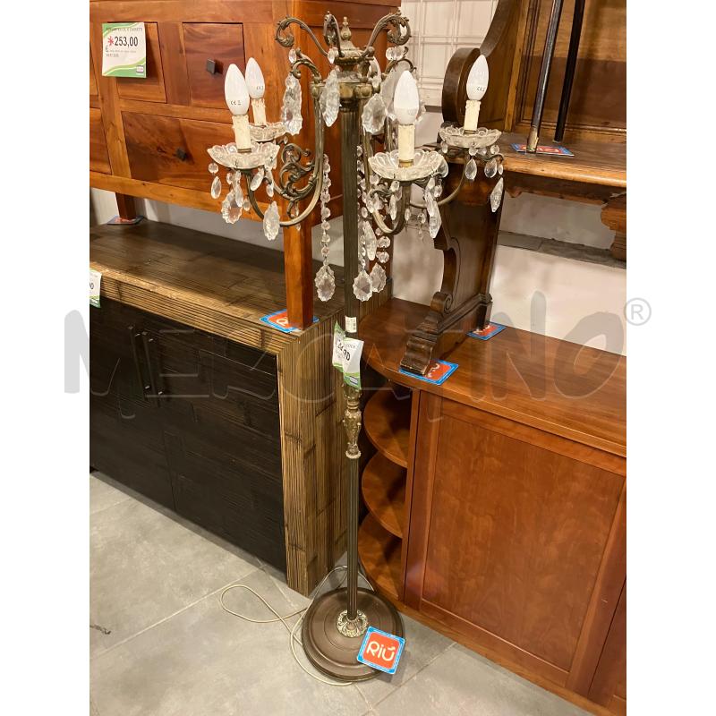 PIANTANA OTTO 5L GOCE  | Mercatino dell'Usato Roma eur 1