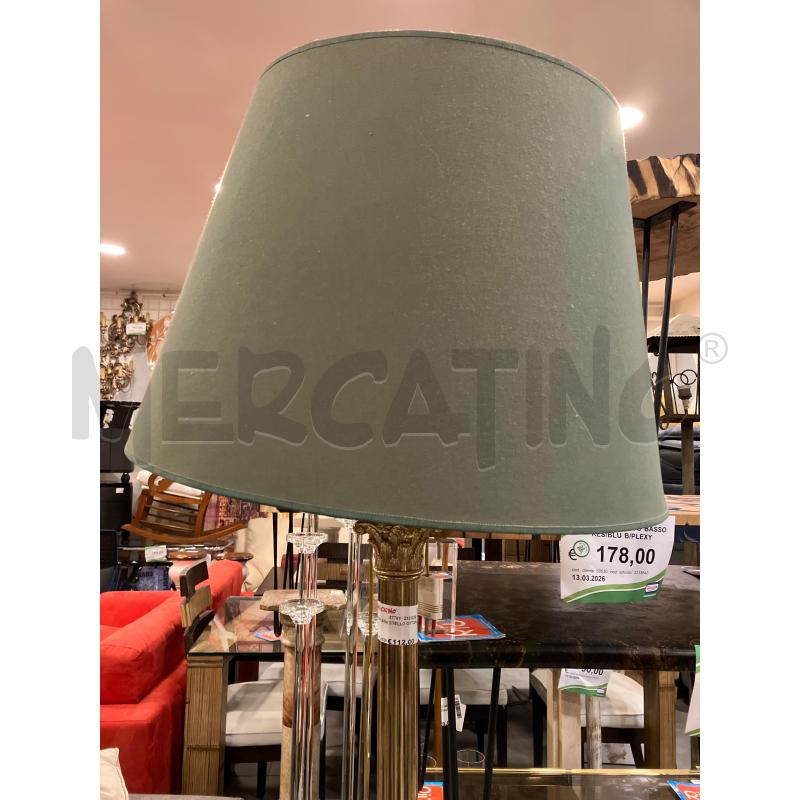 PIANTANA STELLO OTTONE | Mercatino dell'Usato Roma eur 2