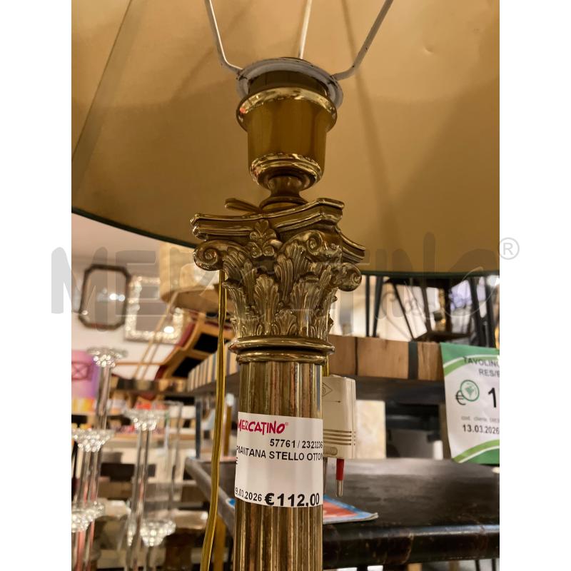 PIANTANA STELLO OTTONE | Mercatino dell'Usato Roma eur 3