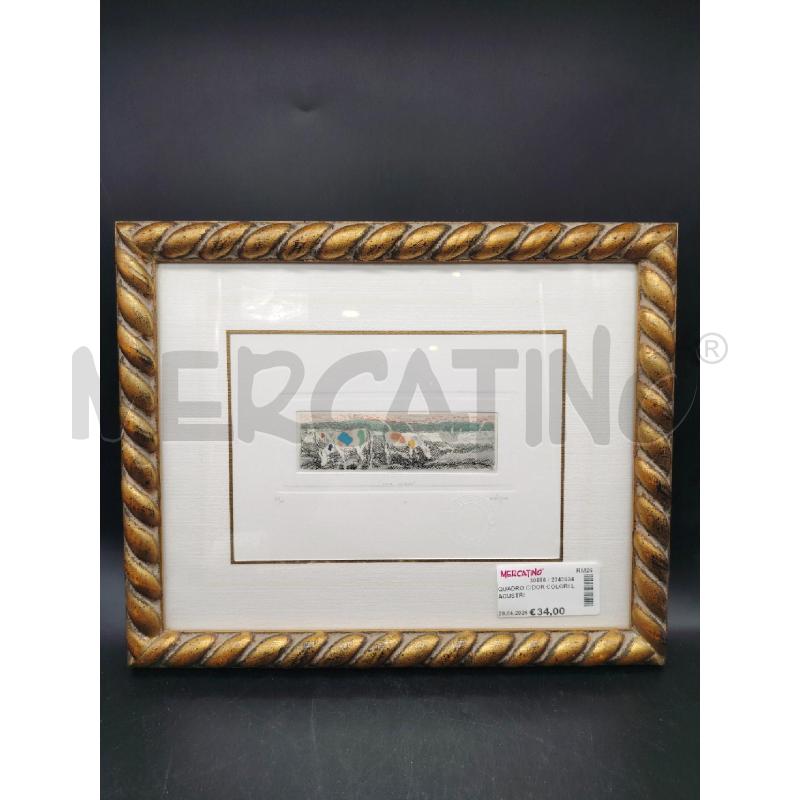 QUADRO C/DOR COLORI LACUSTRI | Mercatino dell'Usato Roma eur 1