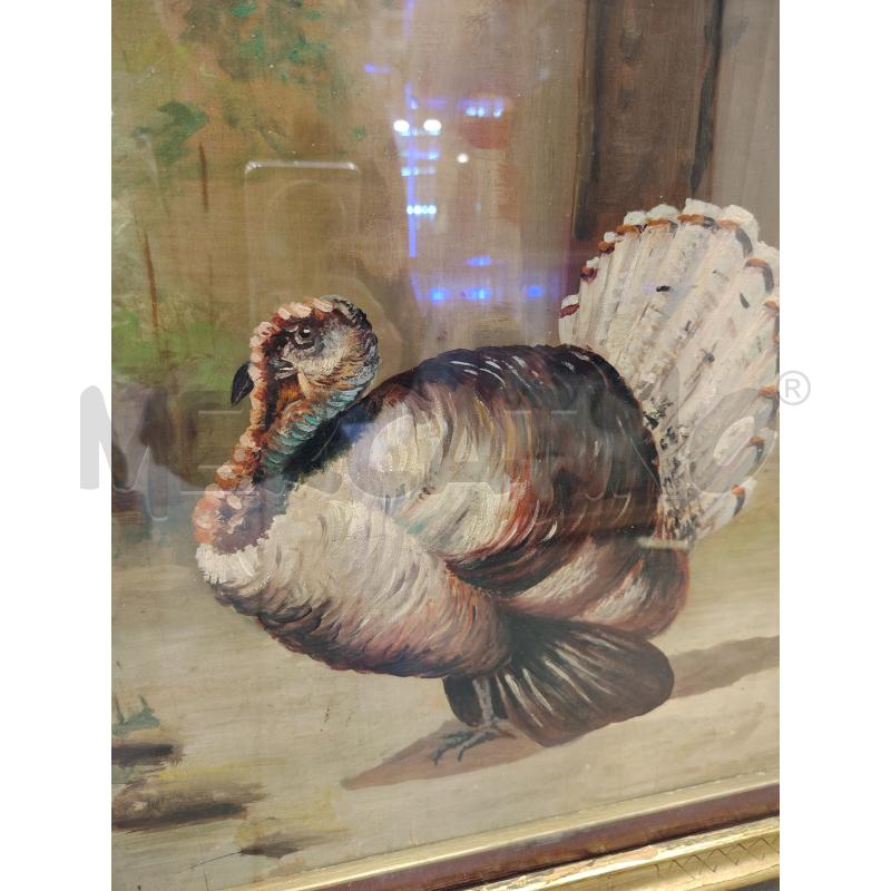 QUADRO C/DOR TACCHINO OLIO SU TAVOLA  | Mercatino dell'Usato Roma eur 2