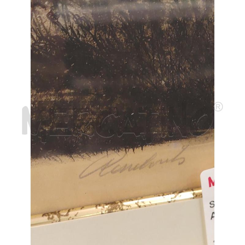 STAMPA CORNICE  DORATA  | Mercatino dell'Usato Roma eur 2