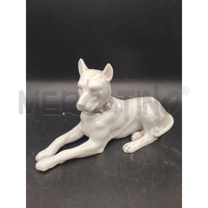 STATUINA  CANE COLLARE  | Mercatino dell'Usato Roma eur 1