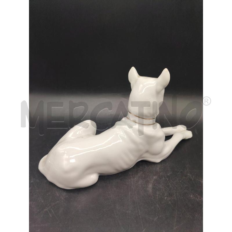 STATUINA  CANE COLLARE  | Mercatino dell'Usato Roma eur 2
