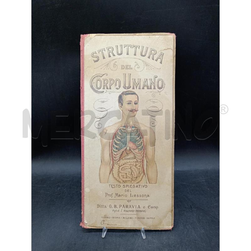 STRUTTURA DEL CORPO UMANO TESTO SPIEGATIVO DEL PROF MARIO LESSONA | Mercatino dell'Usato Roma eur 1