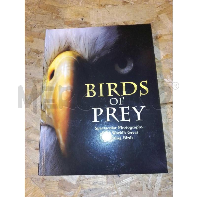BIRDS OF PREY | Mercatino dell'Usato Colleferro 1
