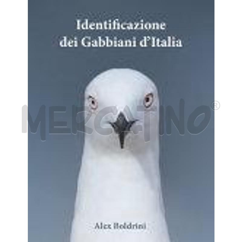 IDENTIFICAZIONE DEI GABBIANI D'ITALIA | Mercatino dell'Usato Colleferro 1