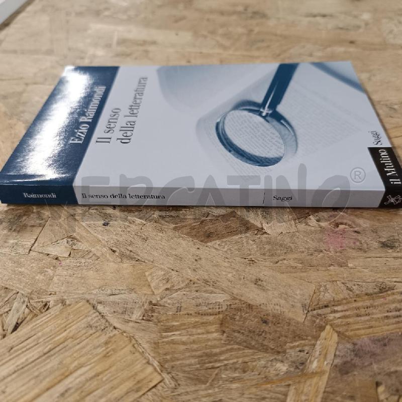 IL SENSO DELLA LETTERATURA | Mercatino dell'Usato Colleferro 3