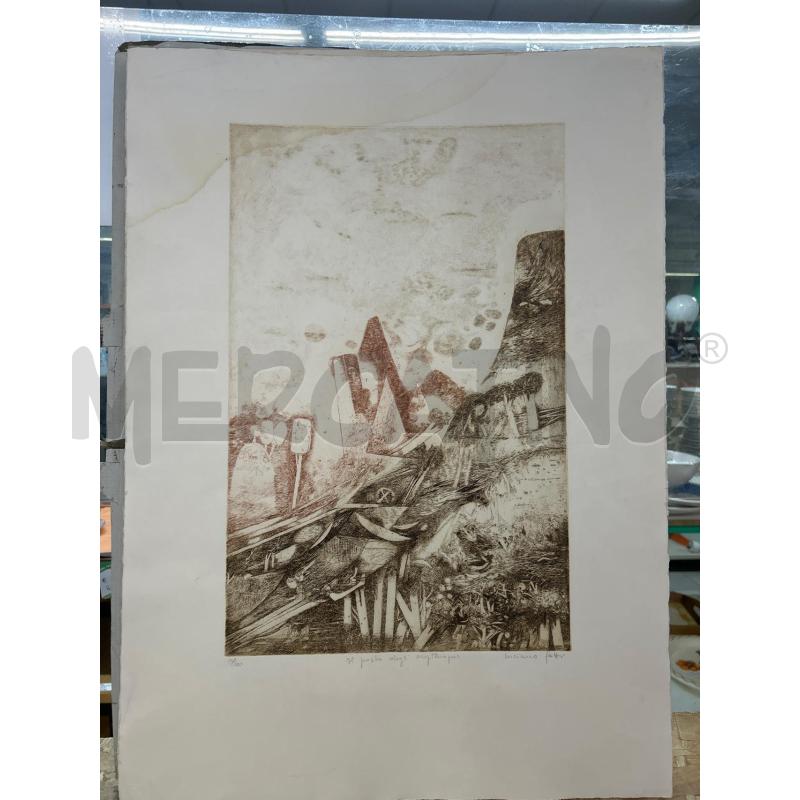 LITOGRAFIA LUCIANO GATTI IL POSTO DEGLI ERYTHROPUS | Mercatino dell'Usato Colleferro 1
