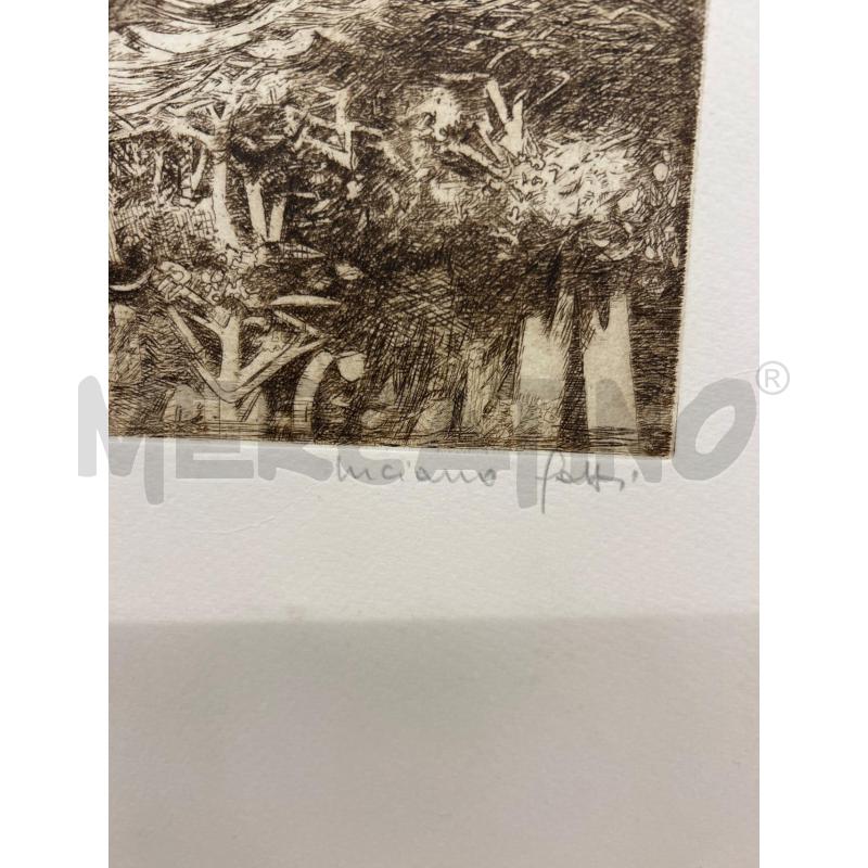LITOGRAFIA LUCIANO GATTI IL POSTO DEGLI ERYTHROPUS | Mercatino dell'Usato Colleferro 3