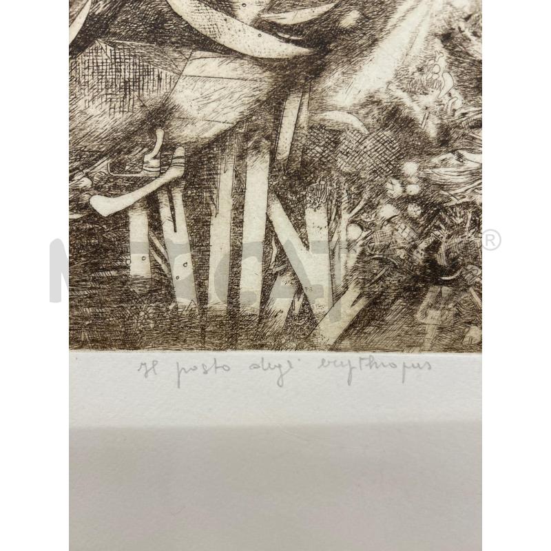 LITOGRAFIA LUCIANO GATTI IL POSTO DEGLI ERYTHROPUS | Mercatino dell'Usato Colleferro 4