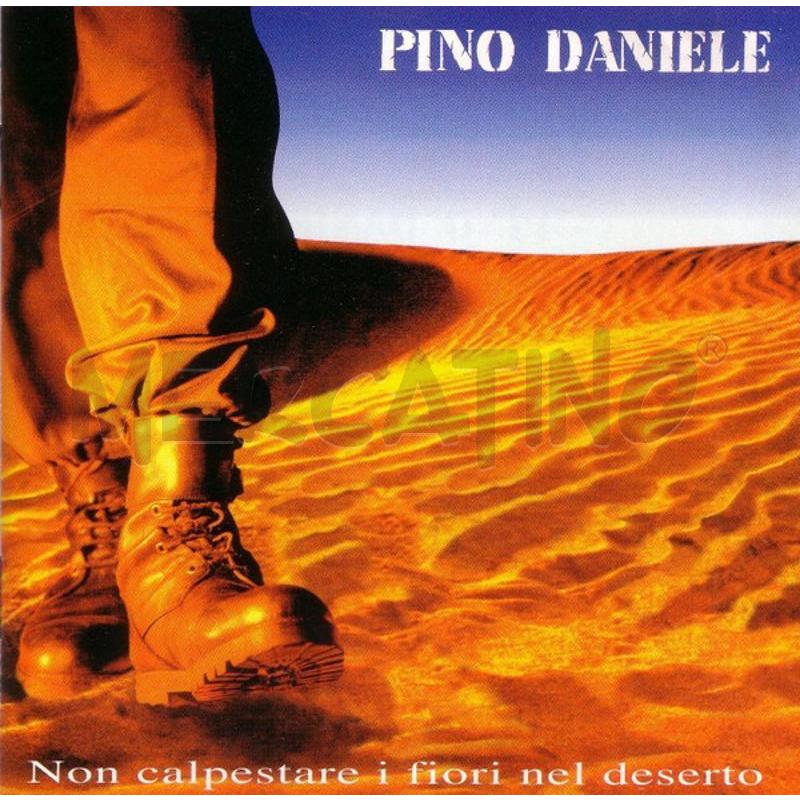 PINO DANIELE - NON CALPESTARE I FIORI NEL DESERTO | Mercatino dell'Usato Colleferro 1