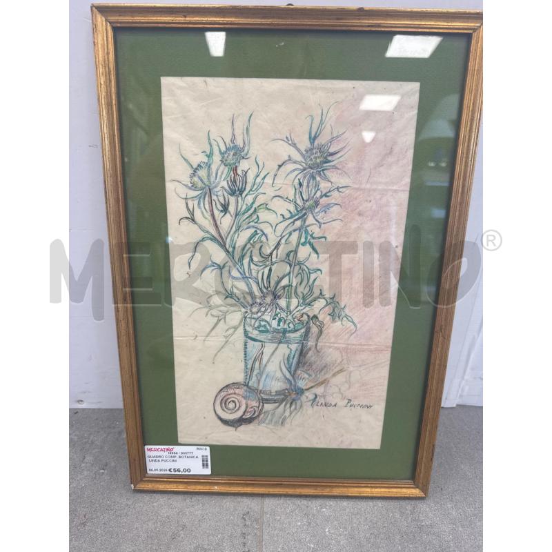 QUADRO COMP. BOTANICA LINDA PUCCINI  | Mercatino dell'Usato Colleferro 1