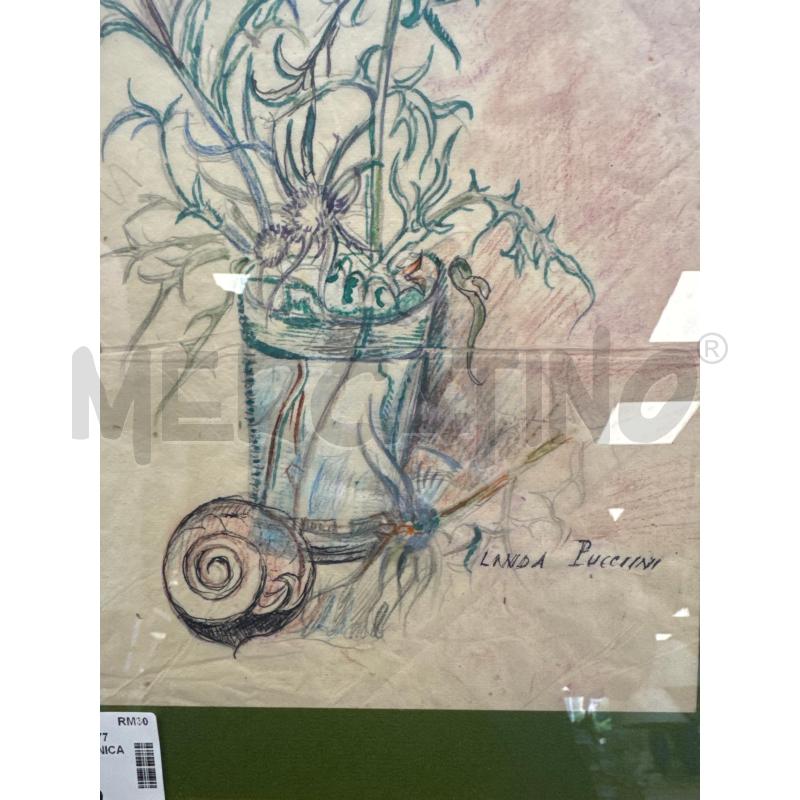 QUADRO COMP. BOTANICA LINDA PUCCINI  | Mercatino dell'Usato Colleferro 2