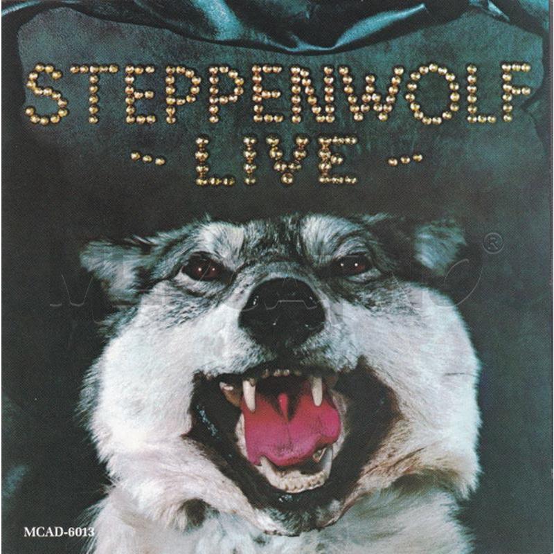 STEPPENWOLF - LIVE | Mercatino dell'Usato Colleferro 1