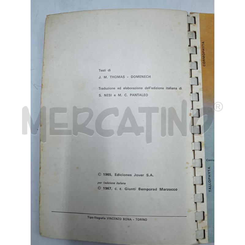 TAVOLE DI BOTANICA | Mercatino dell'Usato Colleferro 2
