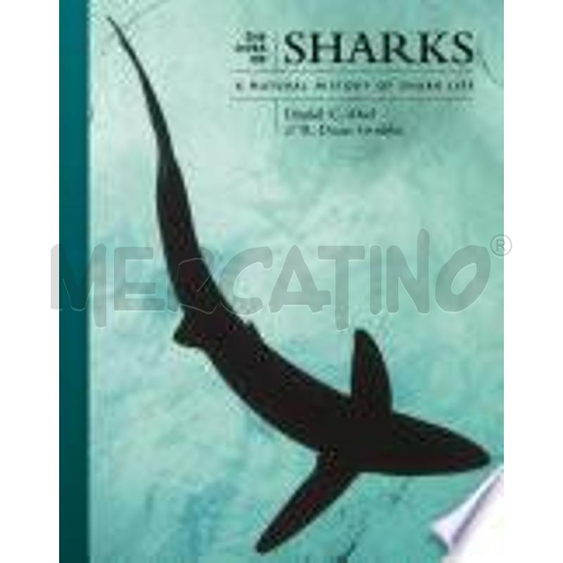 THE LIVES OF SHARKS | Mercatino dell'Usato Colleferro 1