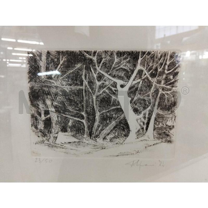 QUADRO BIANCO NERO ALBERI | Mercatino dell'Usato Roma portonaccio 2
