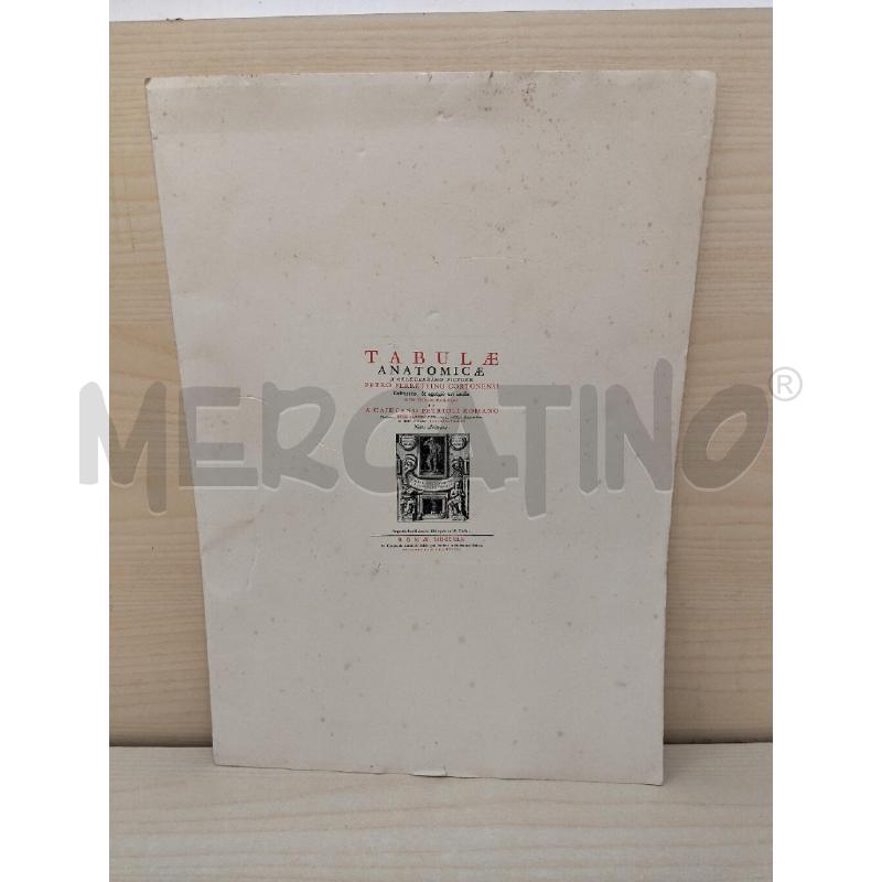 TAVOLE ANATOMICHE PIETRO BERRETTINO | Mercatino dell'Usato Roma portonaccio 1