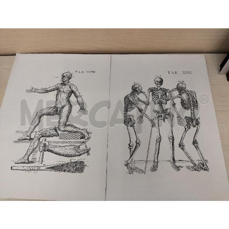 TAVOLE ANATOMICHE PIETRO BERRETTINO | Mercatino dell'Usato Roma portonaccio 2