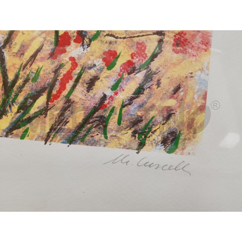 LITOGRAFIA CASCELLA CAMPO FIORITO  | Mercatino dell'Usato Roma tiburtina 3