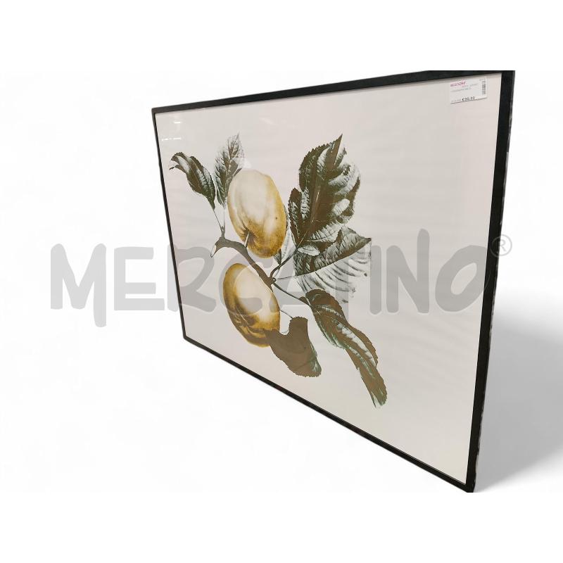 SERIGRAFIA MELO  | Mercatino dell'Usato Roma tiburtina 2