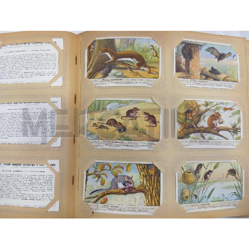ALBUM FIGURINE LIEBIG NON COMPLETO | Mercatino dell'Usato Roma viale tirreno 2