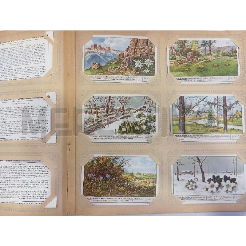 ALBUM FIGURINE LIEBIG NON COMPLETO | Mercatino dell'Usato Roma viale tirreno 3