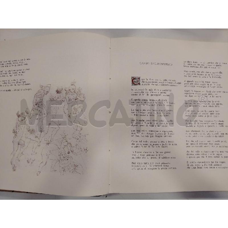DANTE LA DIVINA COMMEDIA BOTTICELLI CANESI | Mercatino dell'Usato Roma viale tirreno 2