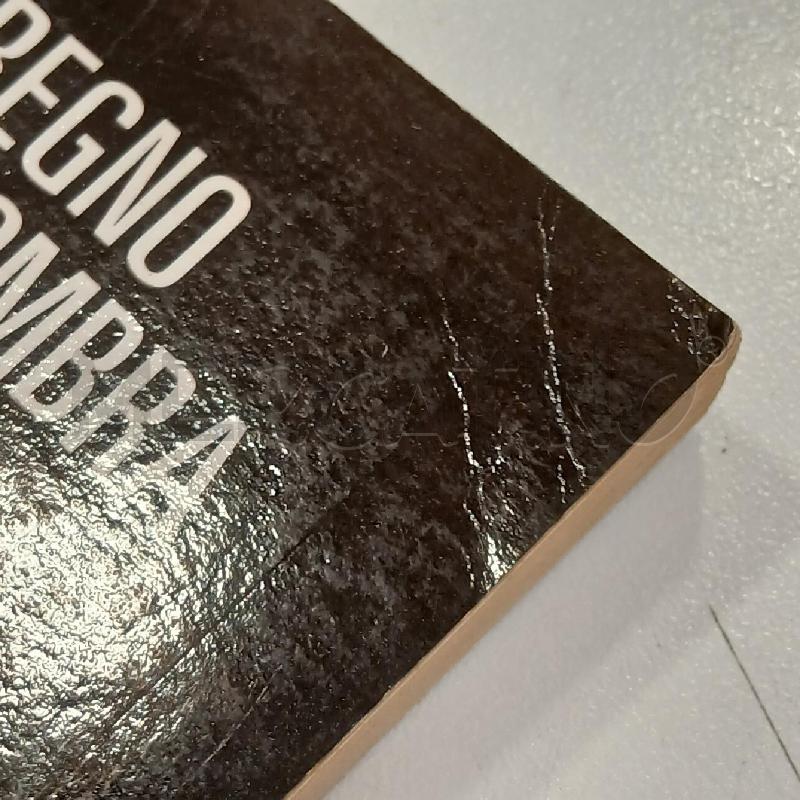 LIBROGAME BAILEY IL REGNO DELL'OMBRA | Mercatino dell'Usato Roma viale tirreno 2