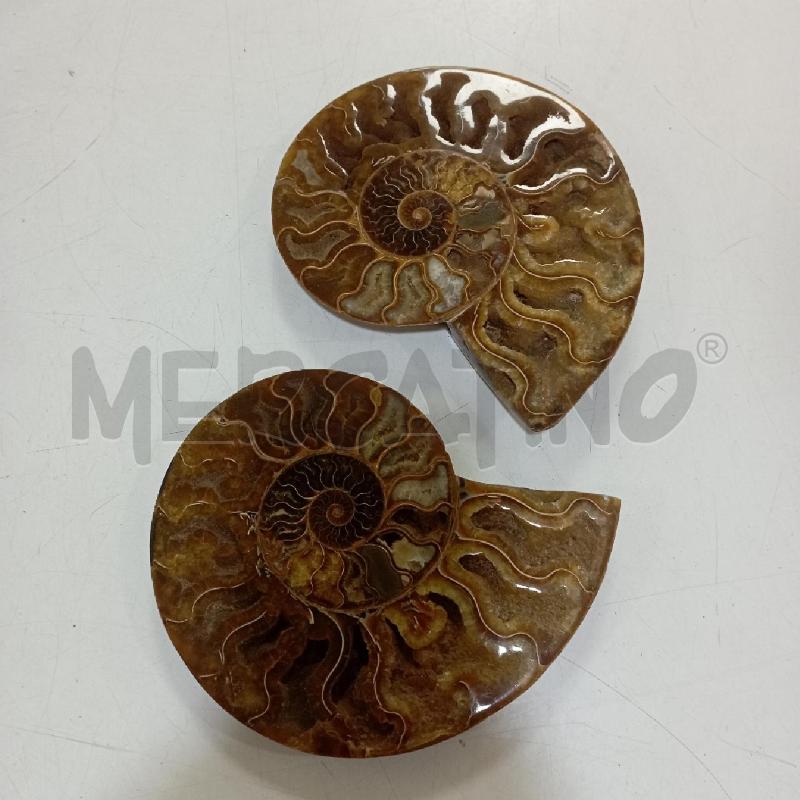 COPPIA PIETRE SPIRALE TIPO FOSSILE | Mercatino dell'Usato Roma montemario 1