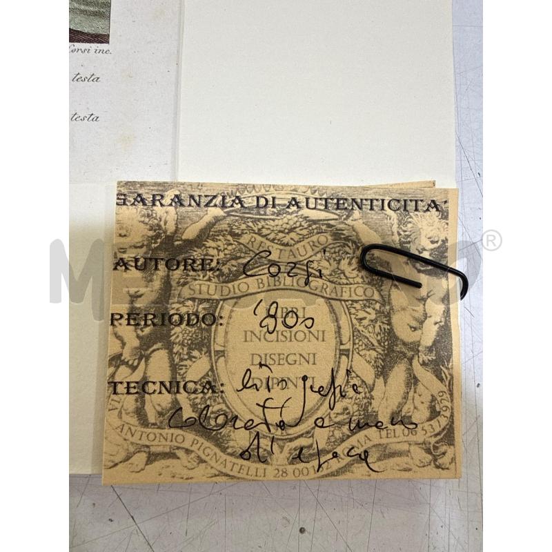 LITOGRAFIA CORSI ANIMALI ZOOLOGIA | Mercatino dell'Usato Roma montemario 3