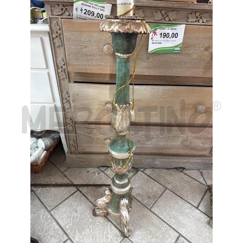 PIANTANA LEGNO VERDE ARG | Mercatino dell'Usato Roma montemario 2