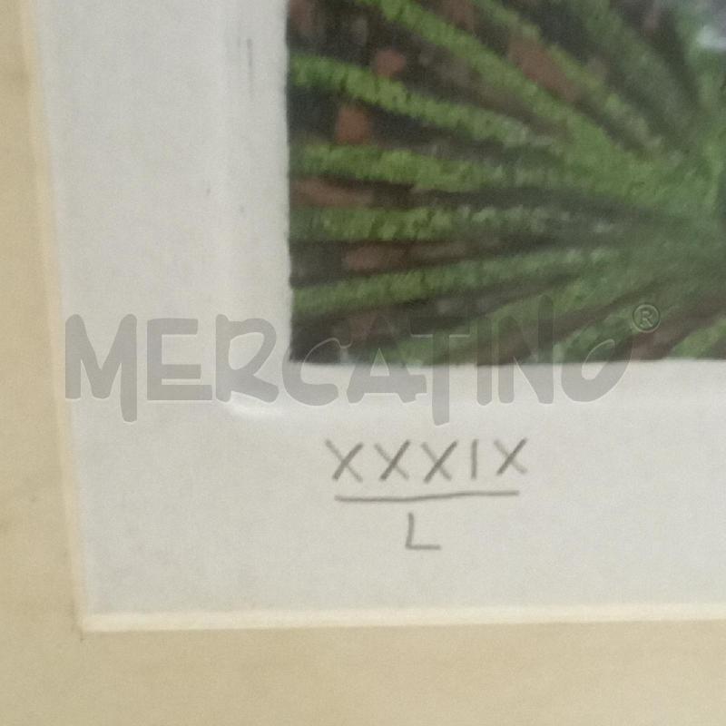 QUADRO CAGLI STERLIZIE XXXIX/L  | Mercatino dell'Usato Roma montemario 4