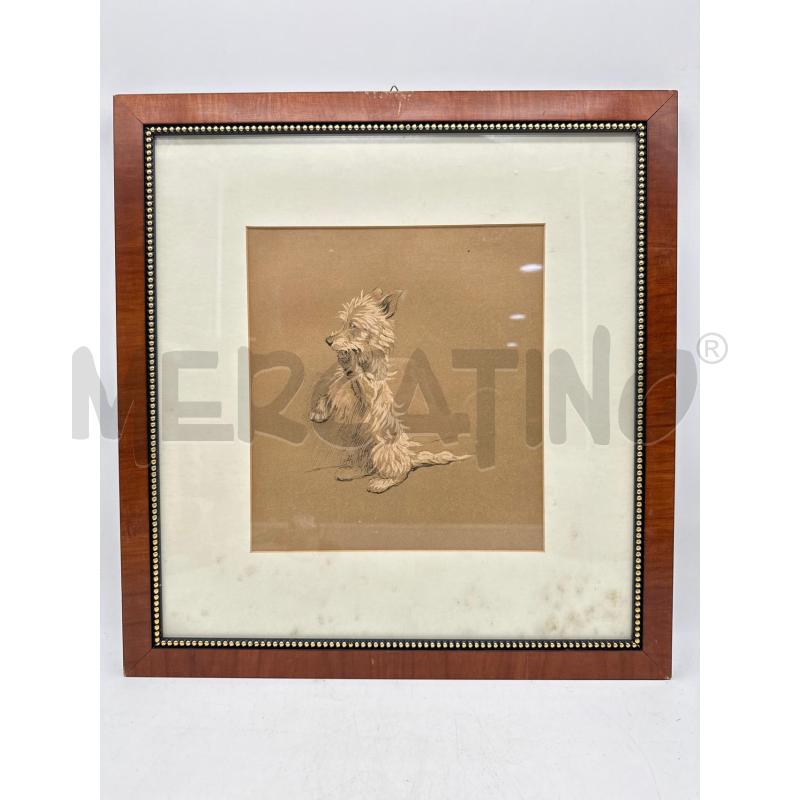 QUADRO TECNICA MISTA CECIL ALDIN CANE BIANCO | Mercatino dell'Usato Roma montemario 1