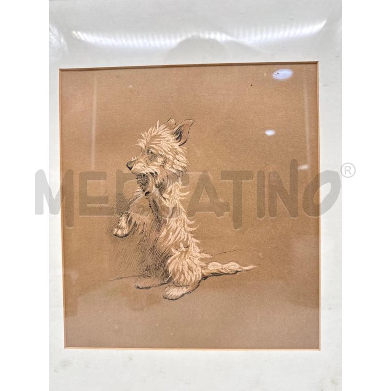 QUADRO TECNICA MISTA CECIL ALDIN CANE BIANCO | Mercatino dell'Usato Roma montemario 2