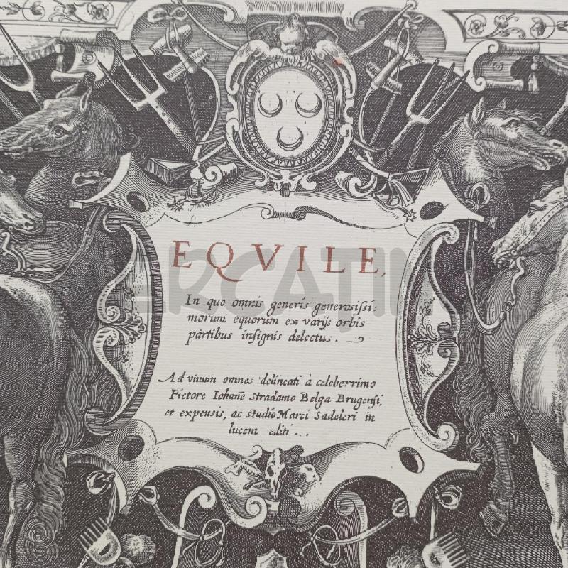 RACCOLTA LA NOBILTÀ DEL CAVALLO RENZO RUFFINI | Mercatino dell'Usato Roma montemario 2