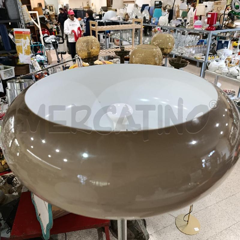 PIANTANA MARRONE BIANCO | Mercatino dell'Usato Tivoli 5