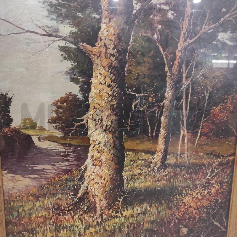 QUADRO OLIO SU TELA AMLETO COLUCCI 60X80 CM | Mercatino dell'Usato Tivoli 2
